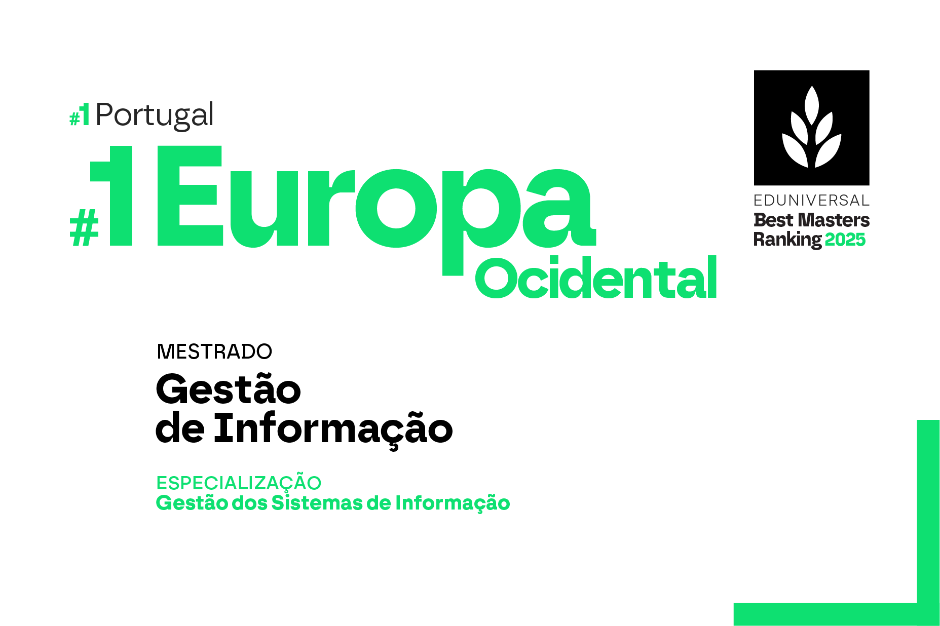 Gestão de Informação, com especialização em Gestão dos Sistemas de Informação image
